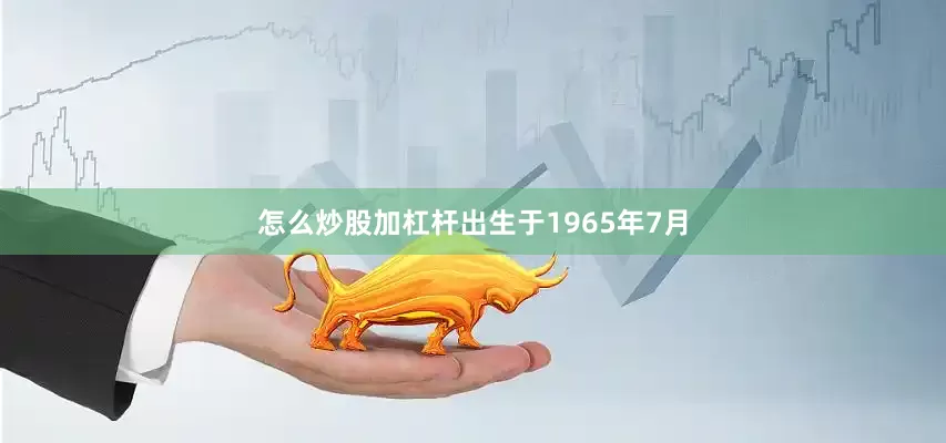 怎么炒股加杠杆出生于1965年7月