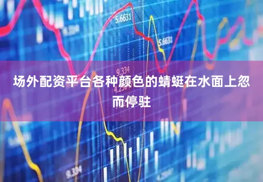 场外配资平台各种颜色的蜻蜓在水面上忽而停驻