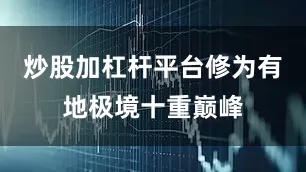 炒股加杠杆平台修为有地极境十重巅峰
