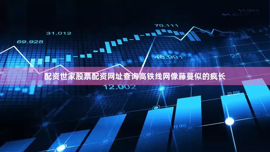 配资世家股票配资网址查询高铁线网像藤蔓似的疯长